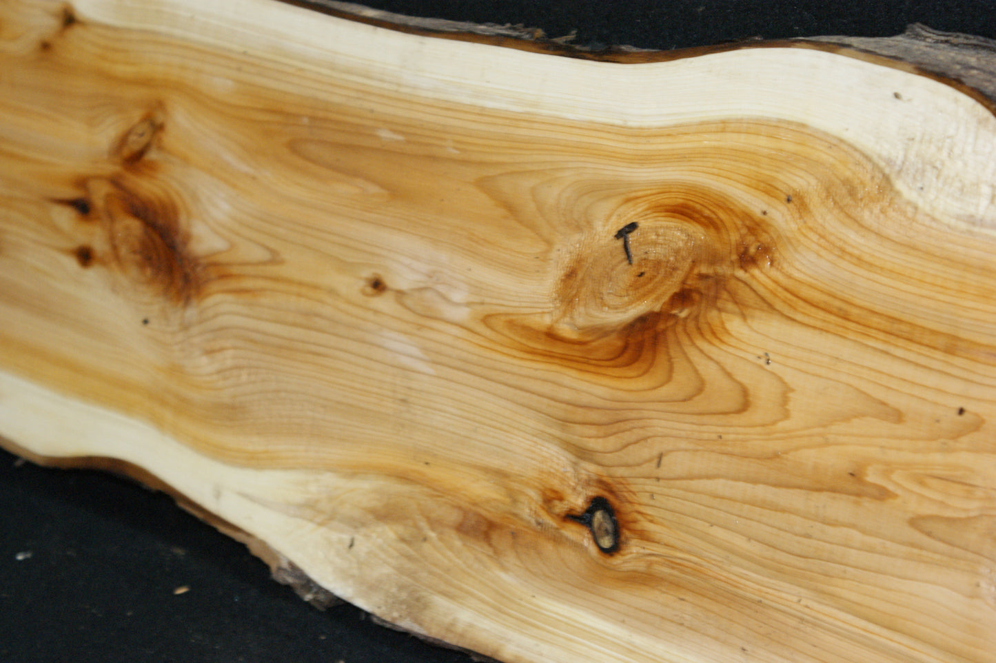 English Yew Shelf. (600)