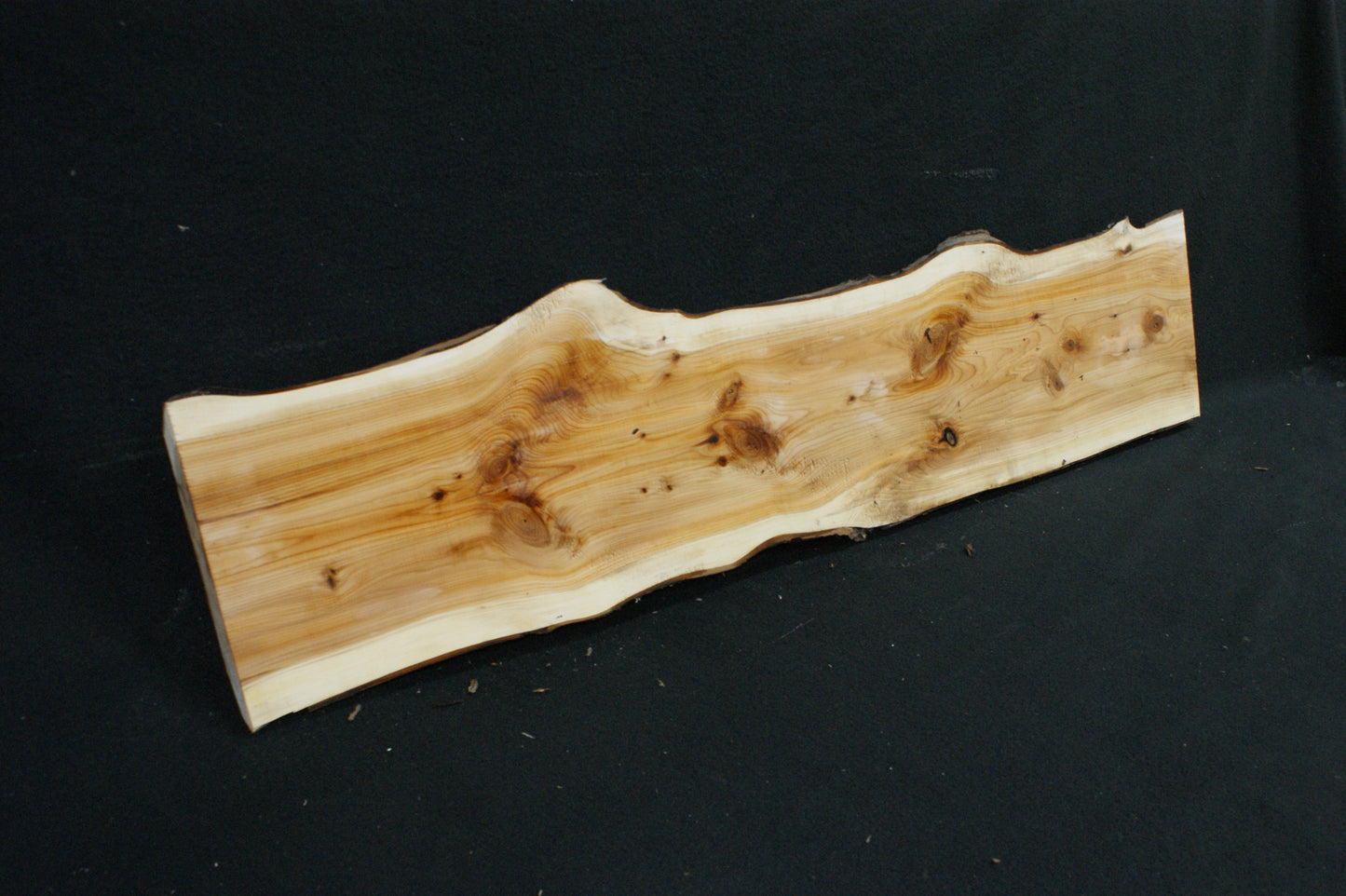 English Yew Shelf. (600)