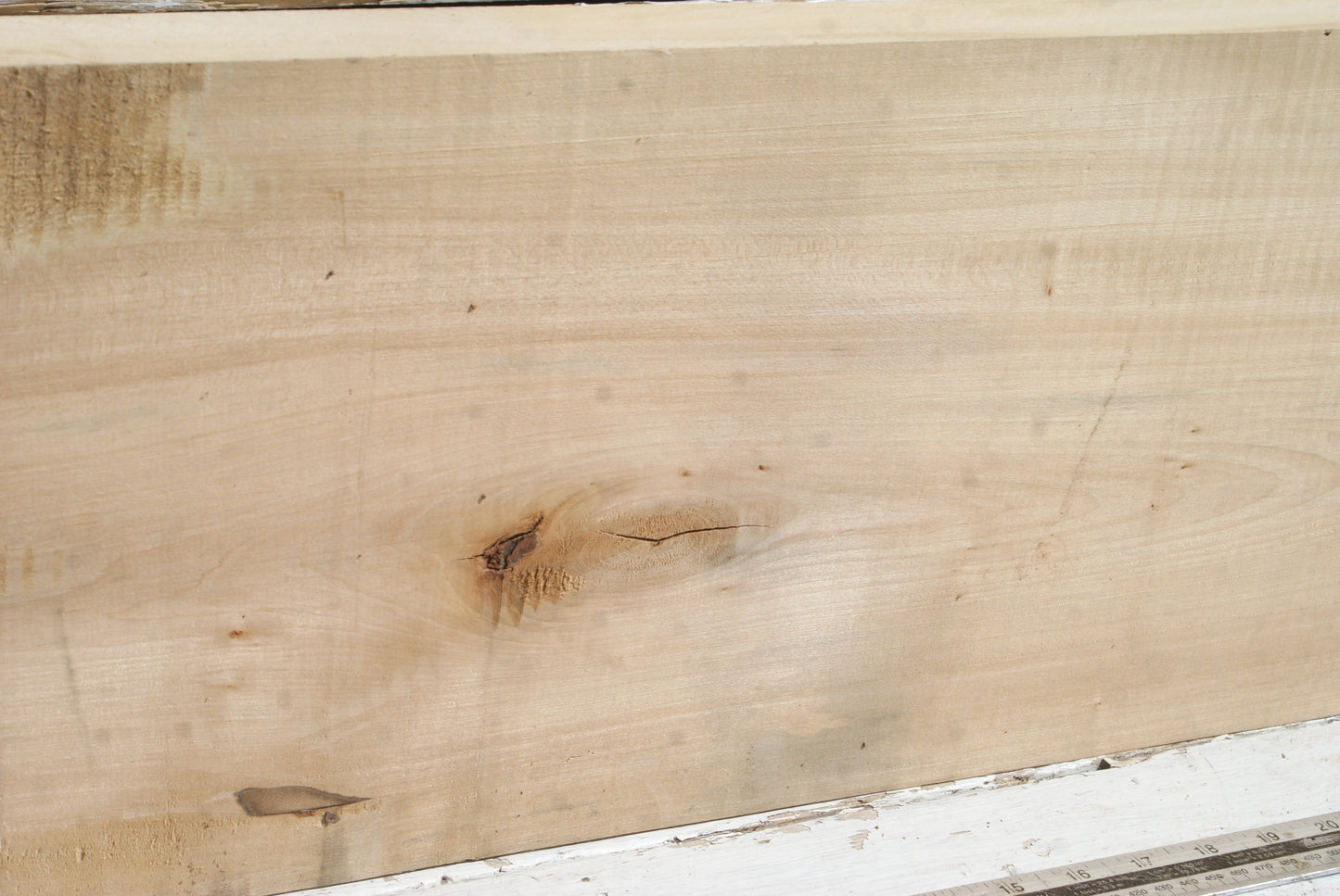 Lime 1124 L x 253 W x 41 D (mm) (601)