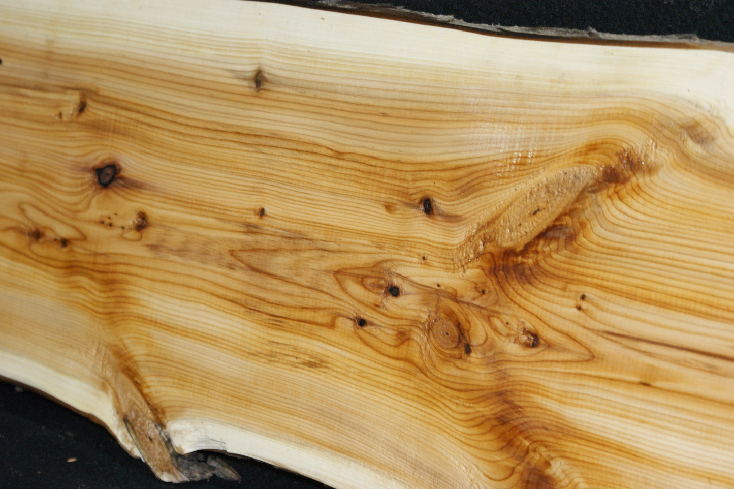 English Yew Shelf. (601)