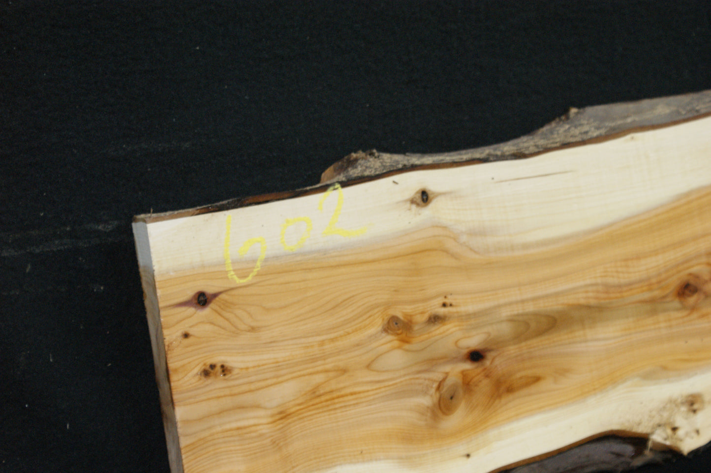 English Yew Shelf. (602)