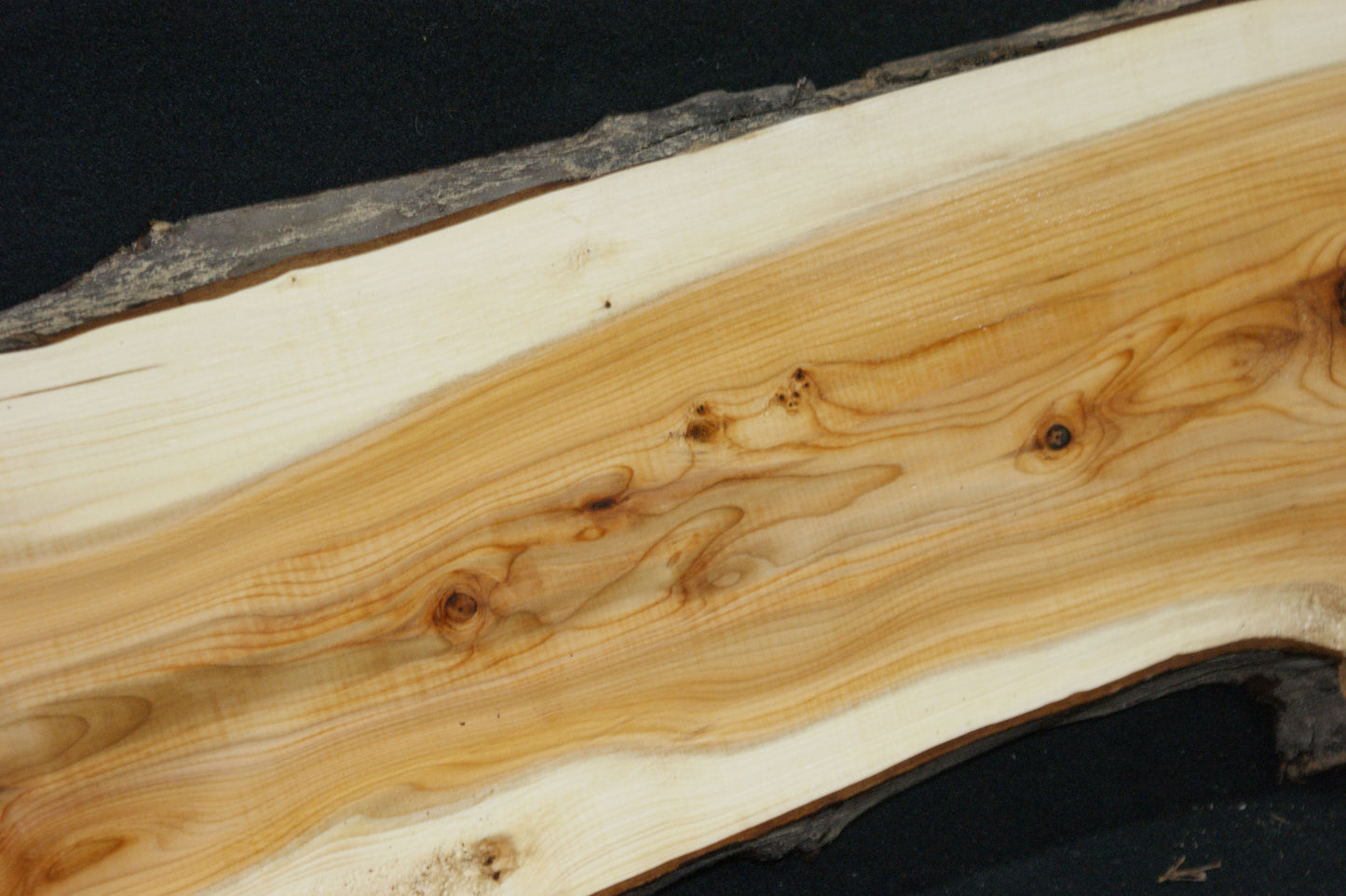 English Yew Shelf. (602)