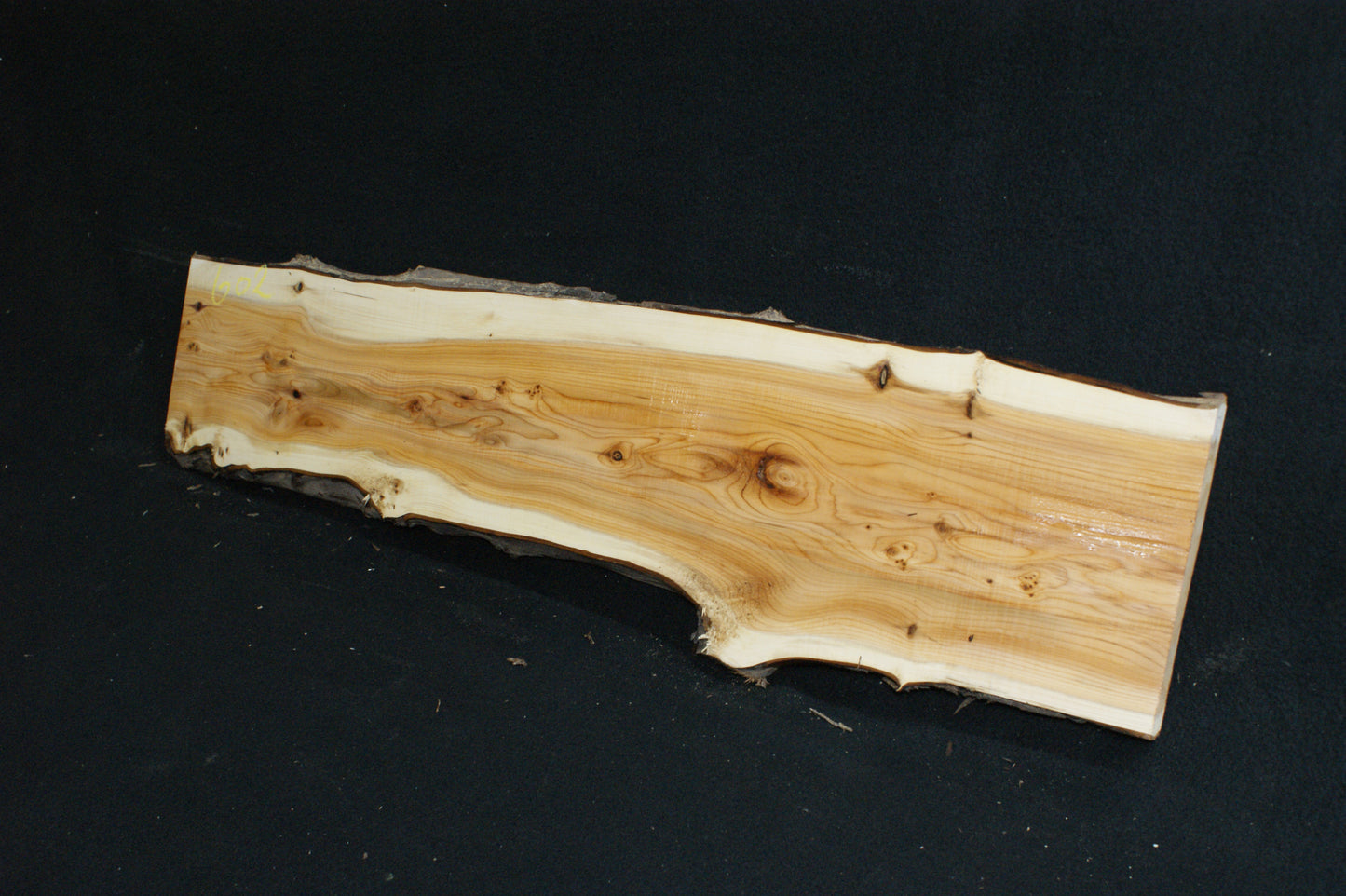 English Yew Shelf. (602)