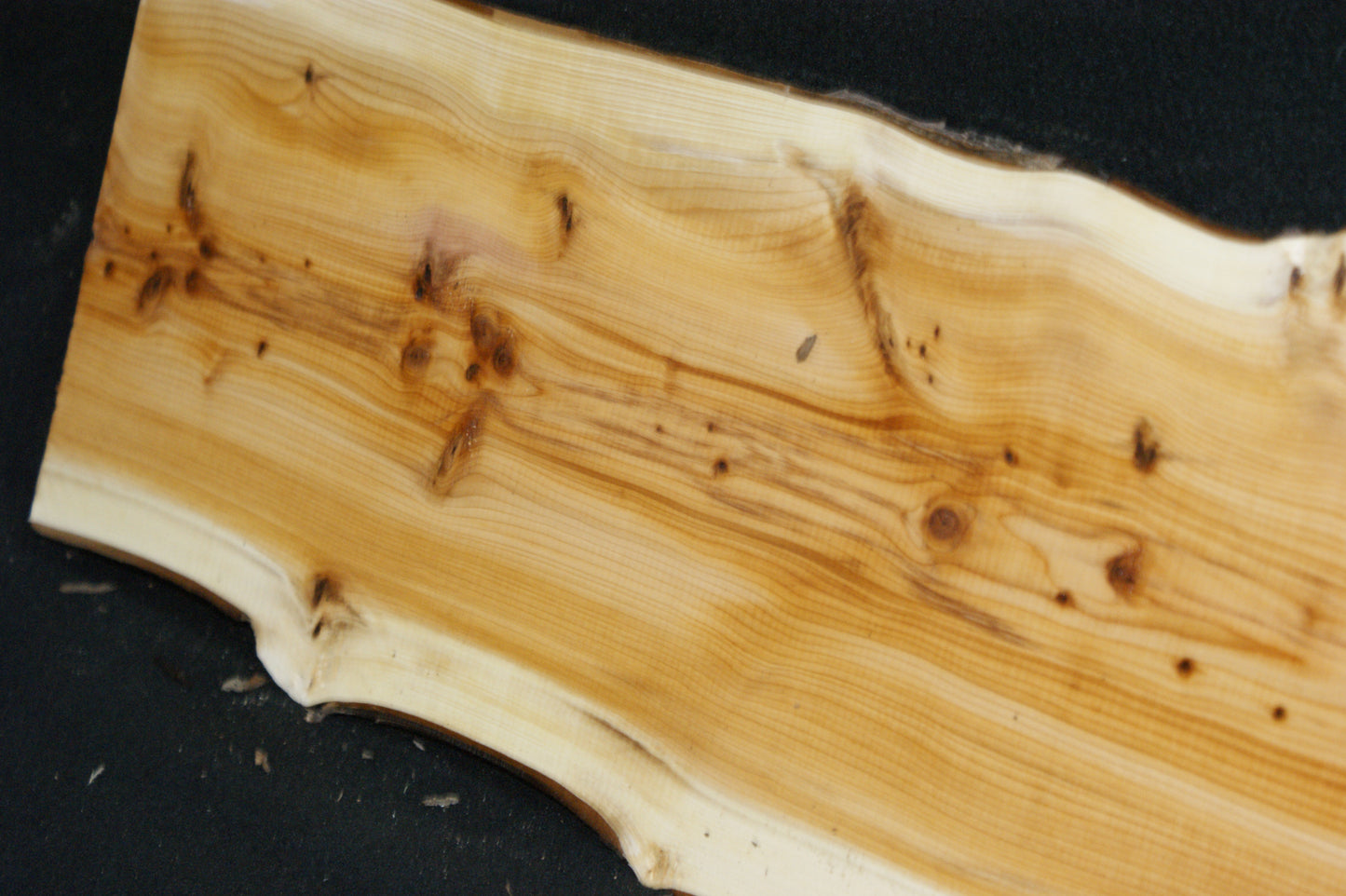 English Yew Shelf. (602)
