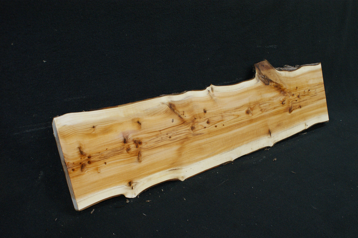English Yew Shelf. (602)