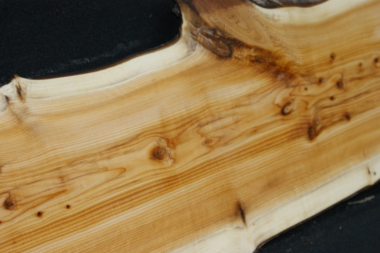 English Yew Shelf. (602)