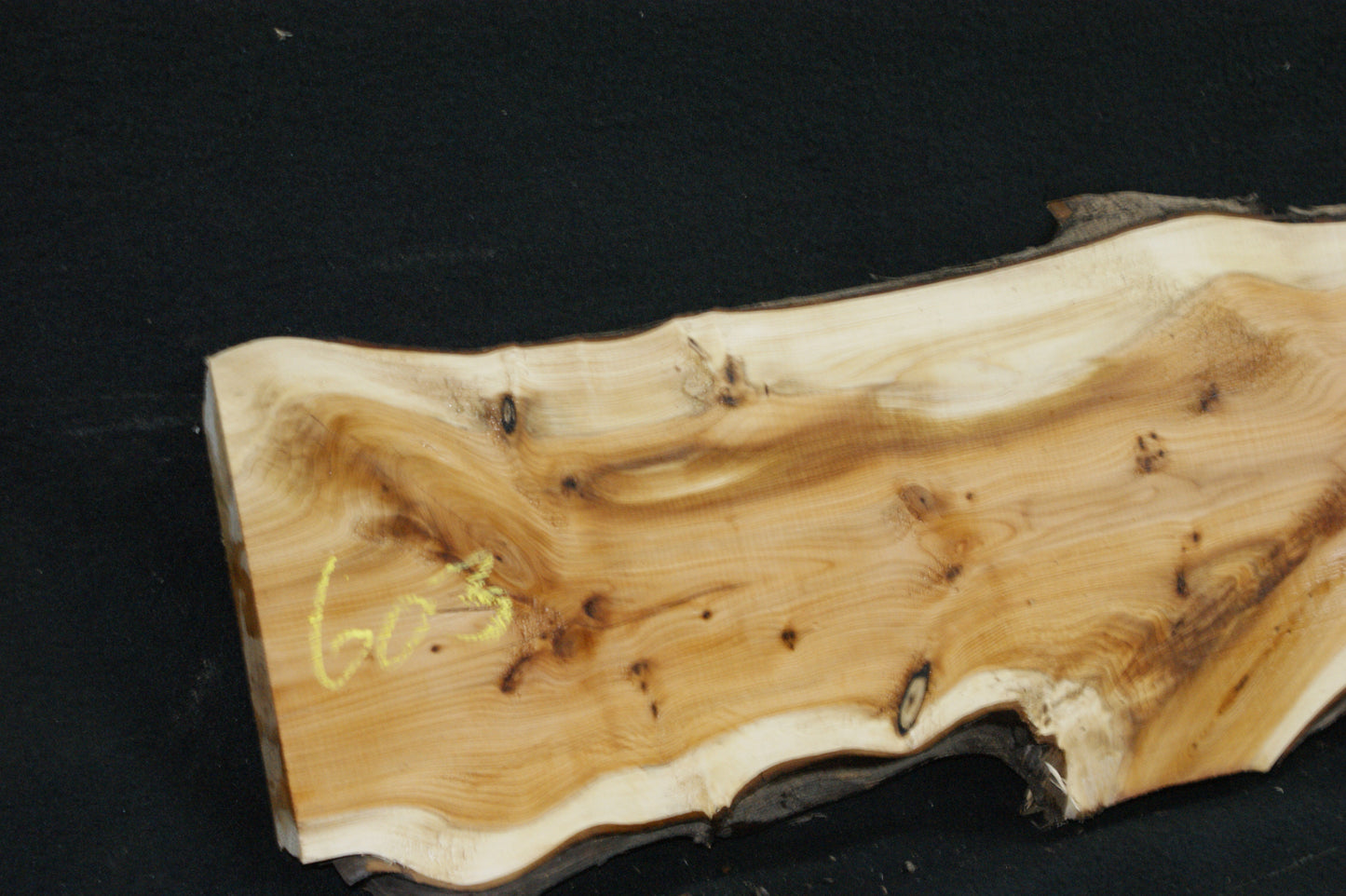 English Yew Shelf. (603)