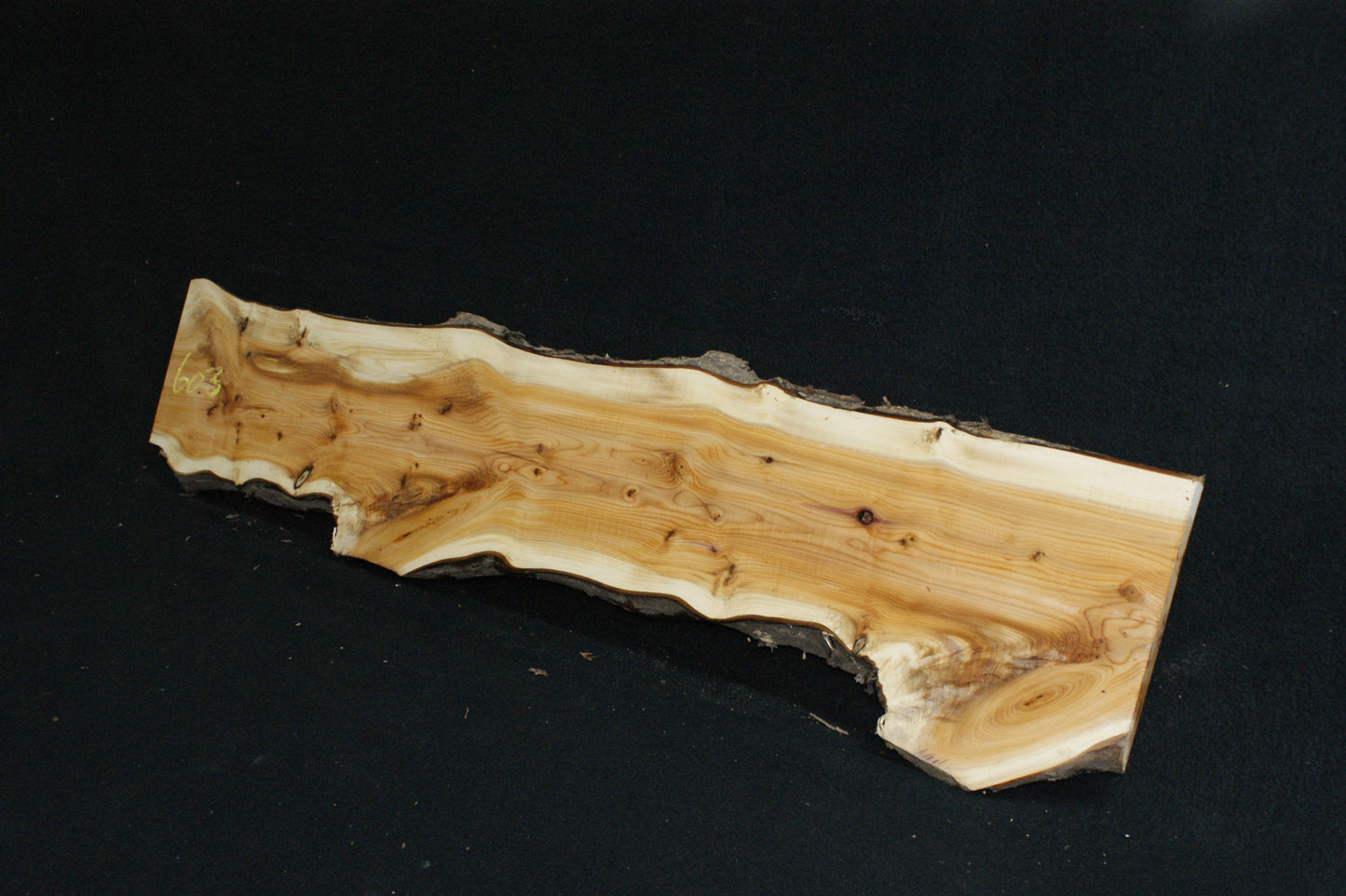 English Yew Shelf. (603)
