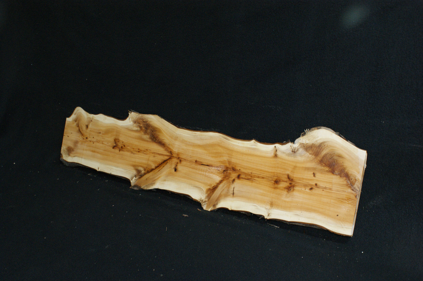 English Yew Shelf. (603)