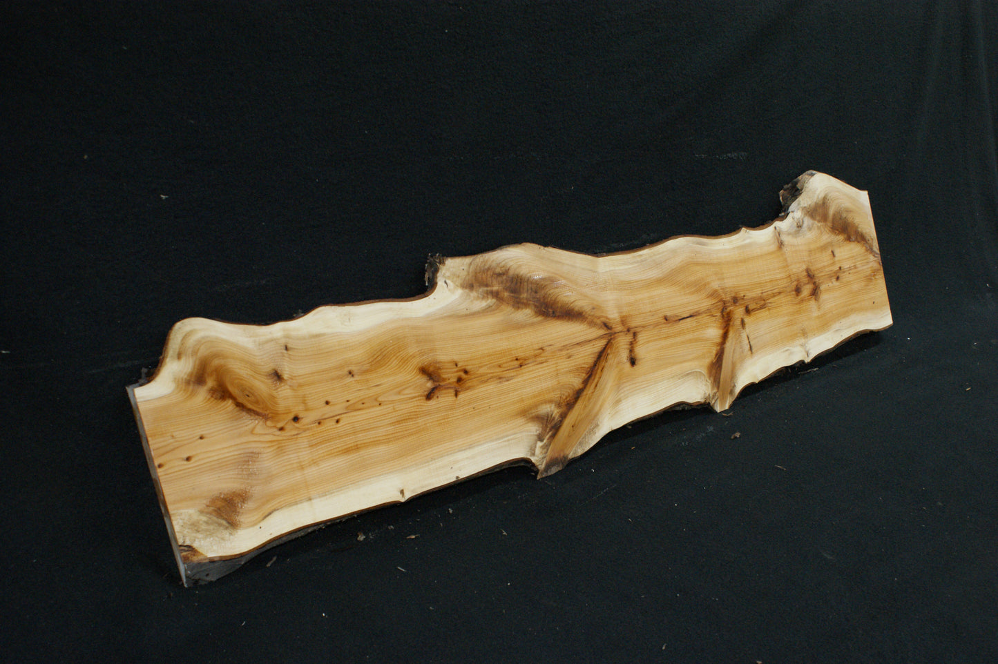 English Yew Shelf. (603)