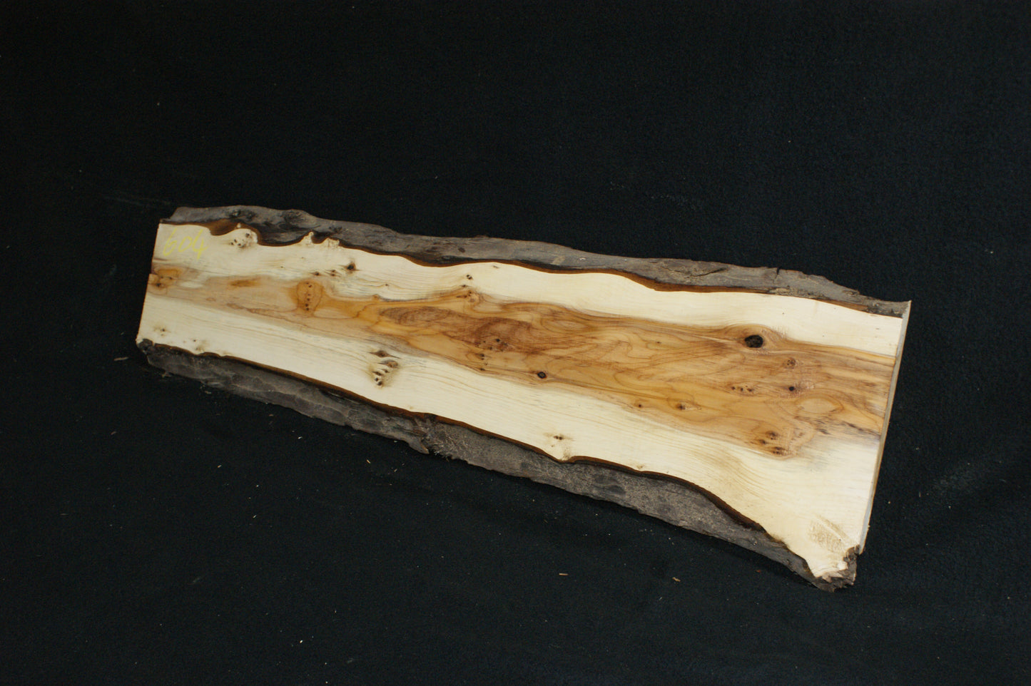 English Yew Shelf. (604)