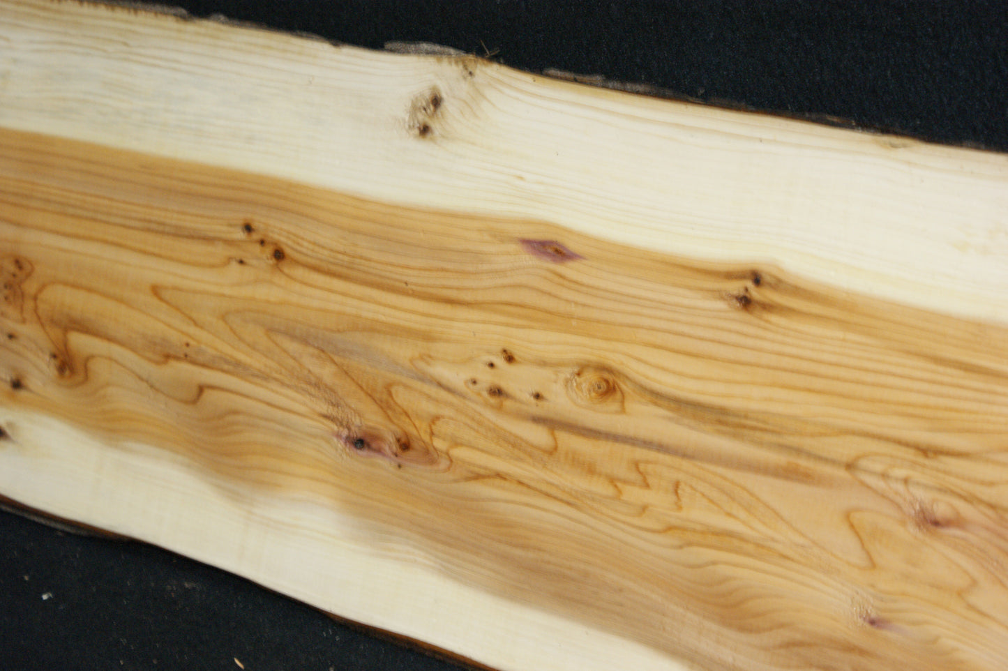 English Yew Shelf. (604)