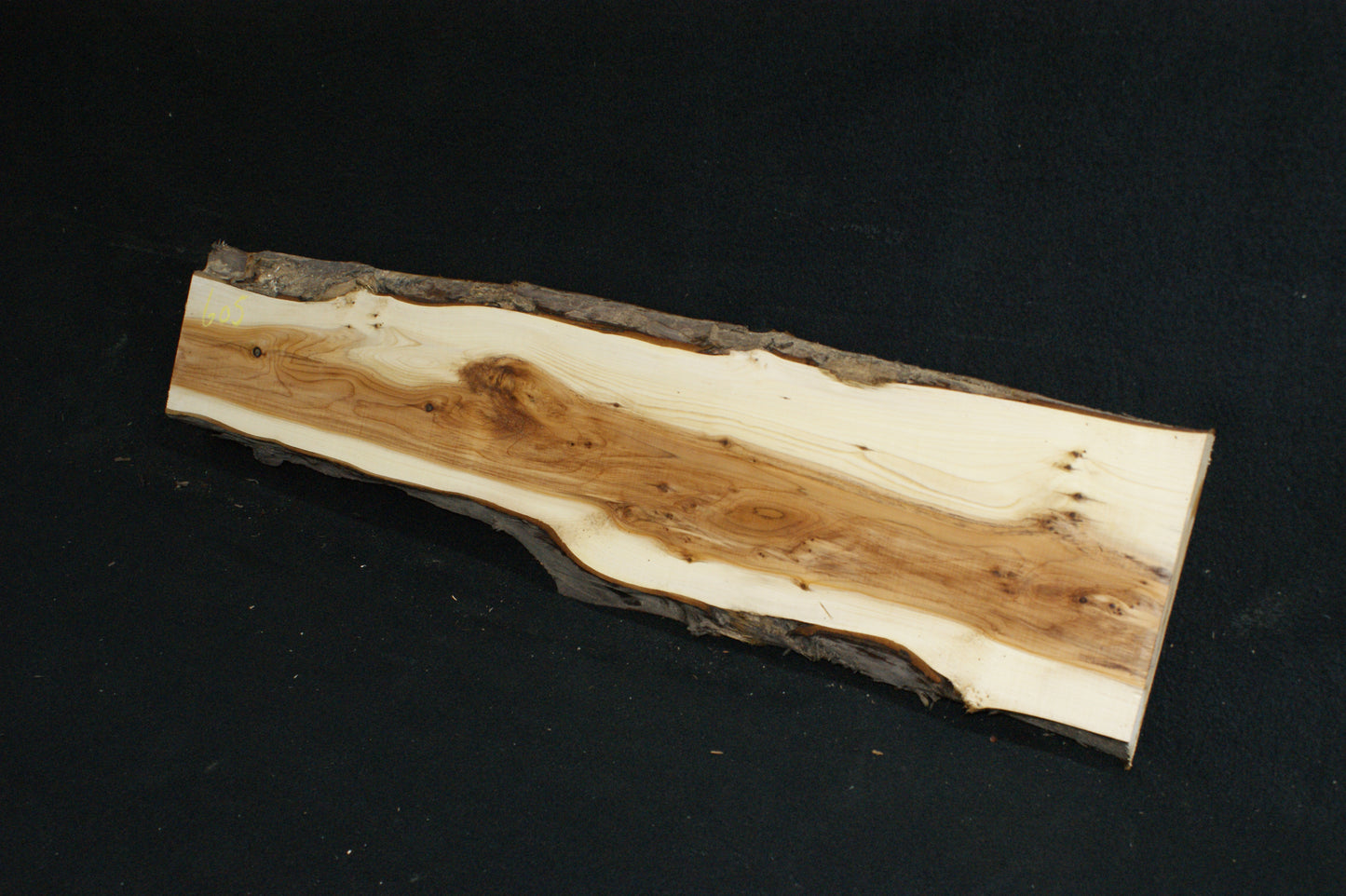 English Yew Shelf. (605)