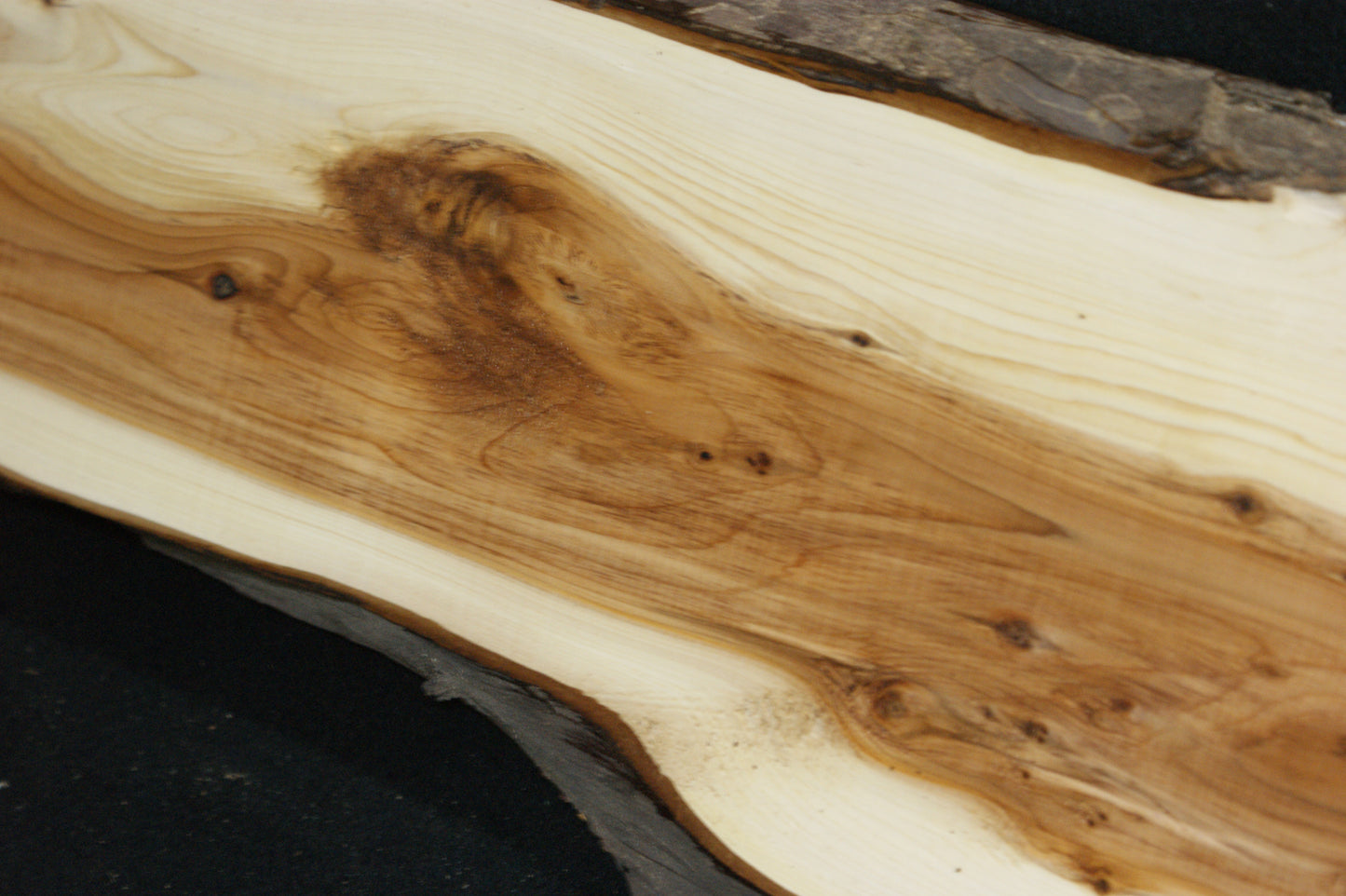 English Yew Shelf. (605)