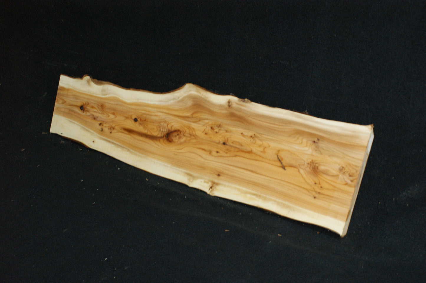 English Yew Shelf. (605)