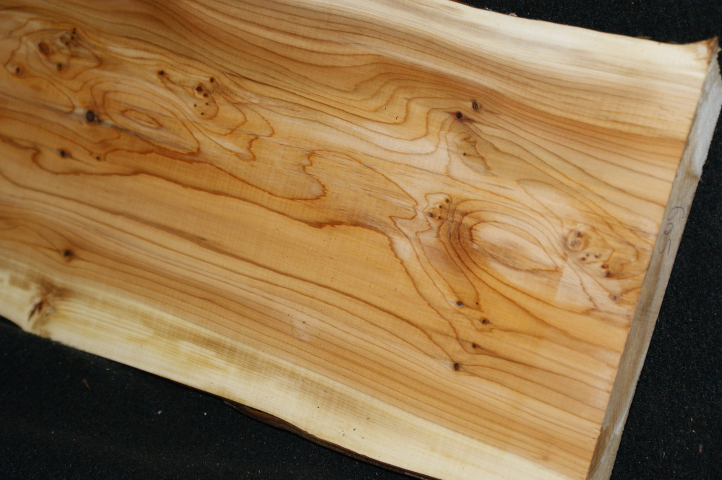 English Yew Shelf. (605)