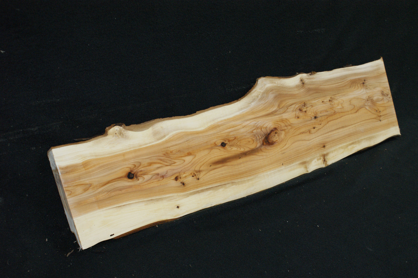 English Yew Shelf. (605)