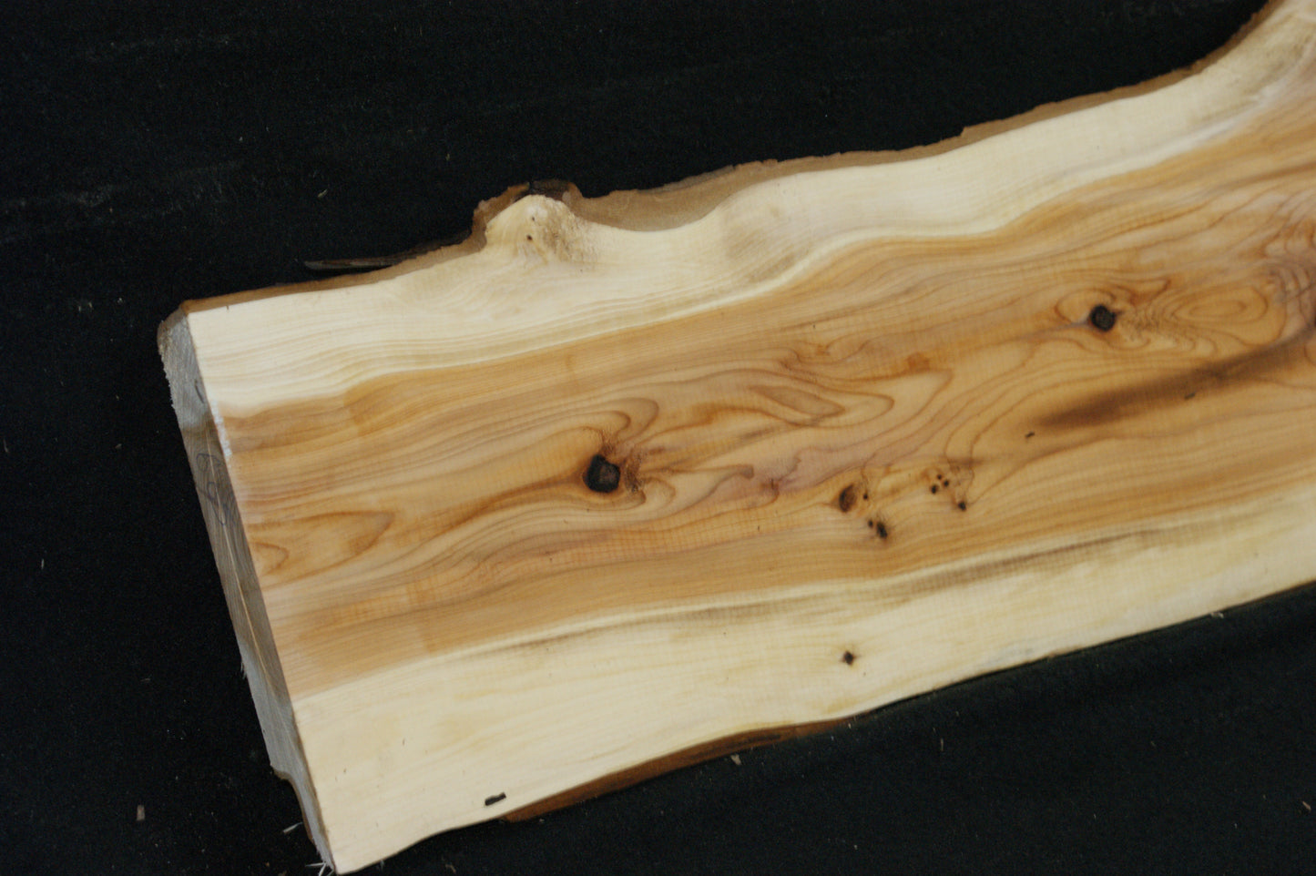 English Yew Shelf. (605)