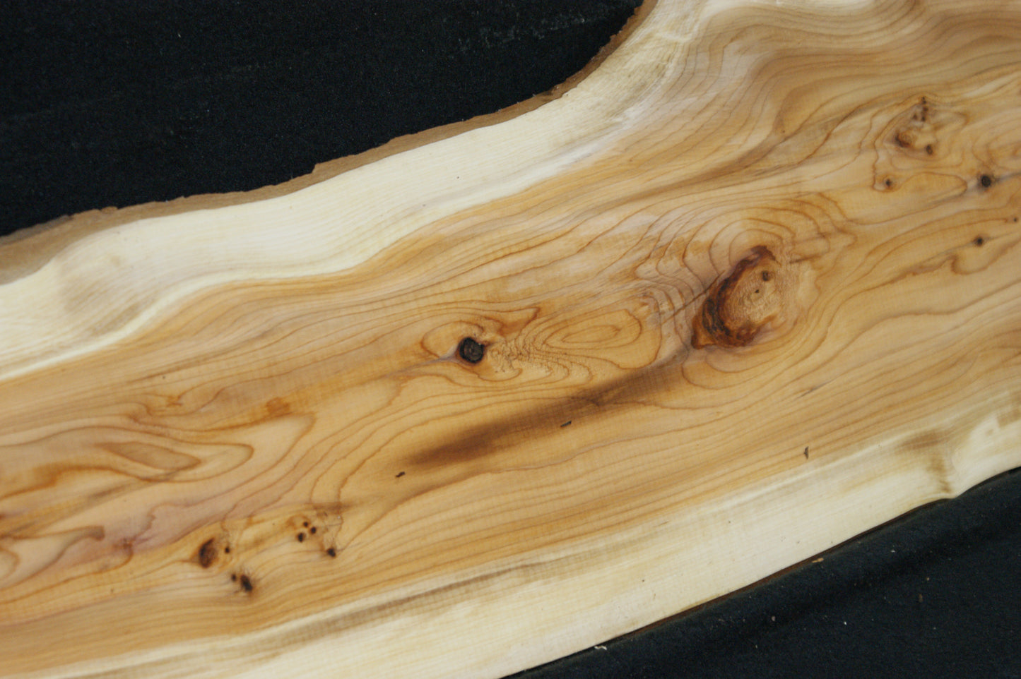 English Yew Shelf. (605)