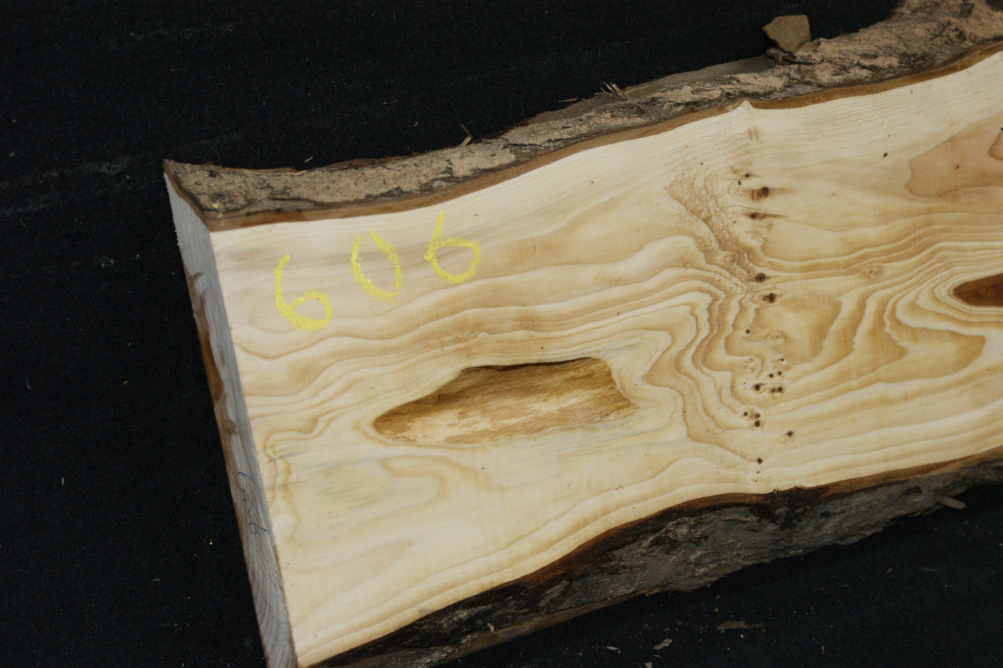 English Yew Shelf. (606)