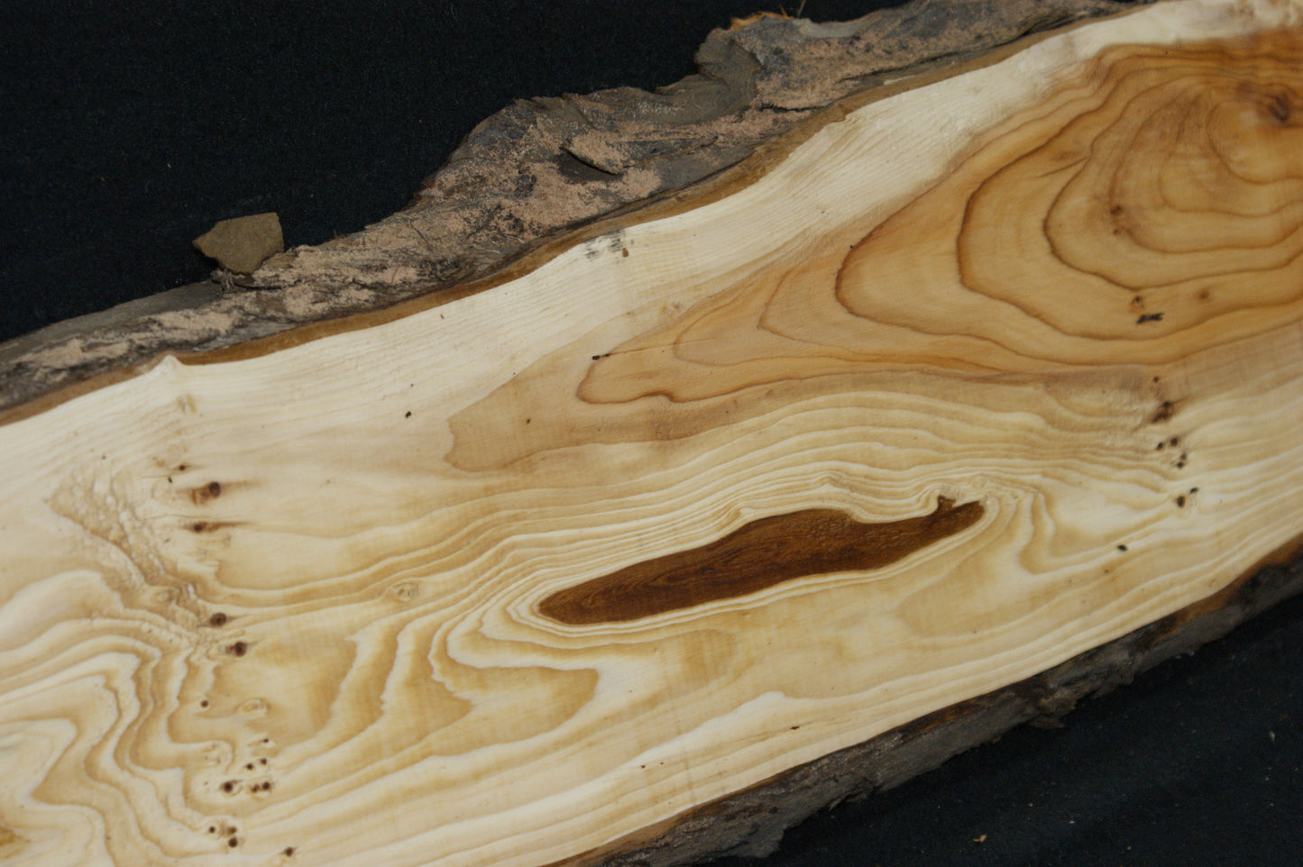 English Yew Shelf. (606)