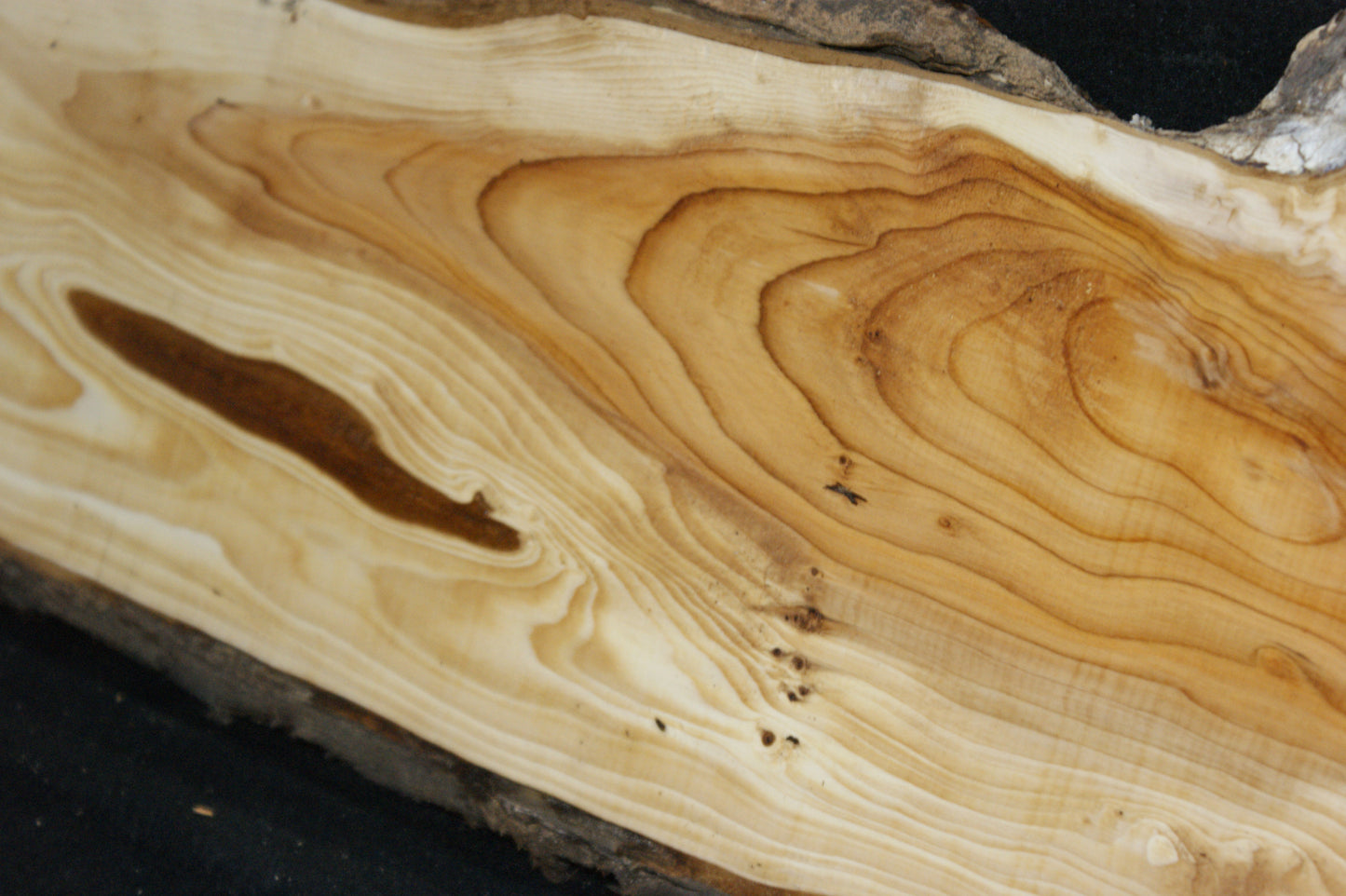 English Yew Shelf. (606)