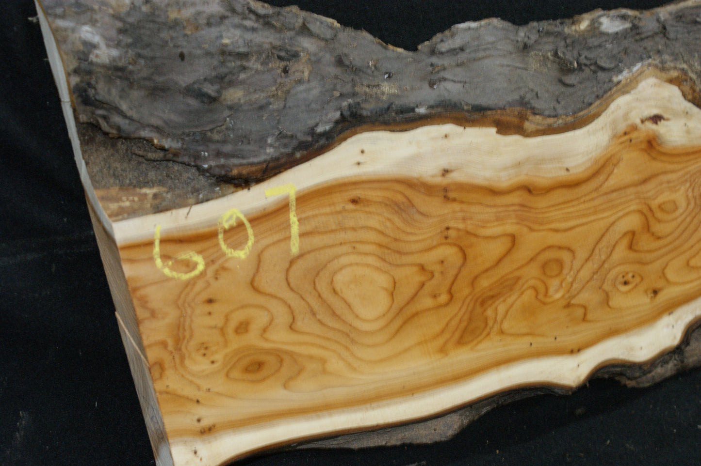 English Yew Shelf. (607)