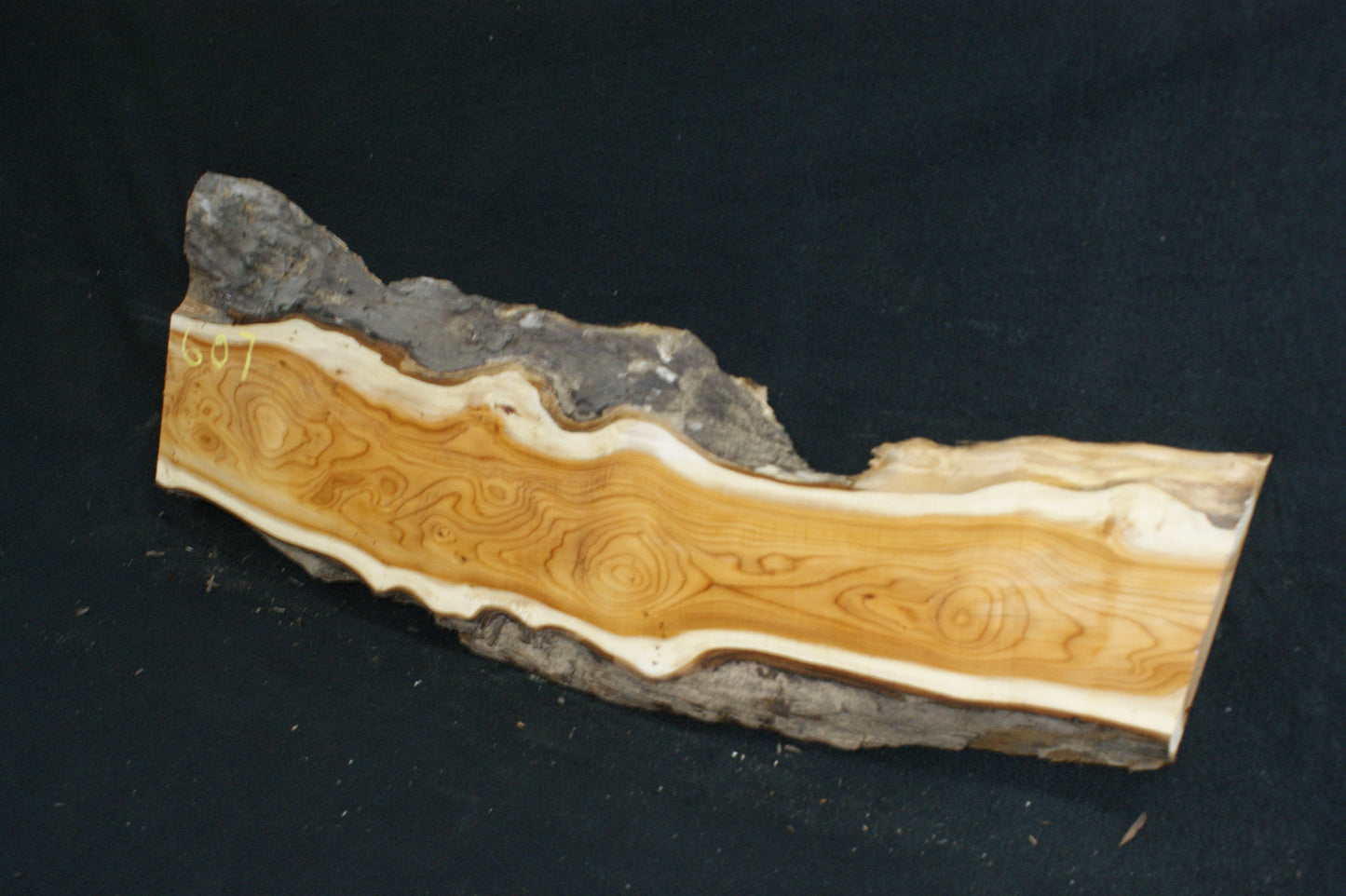 English Yew Shelf. (607)