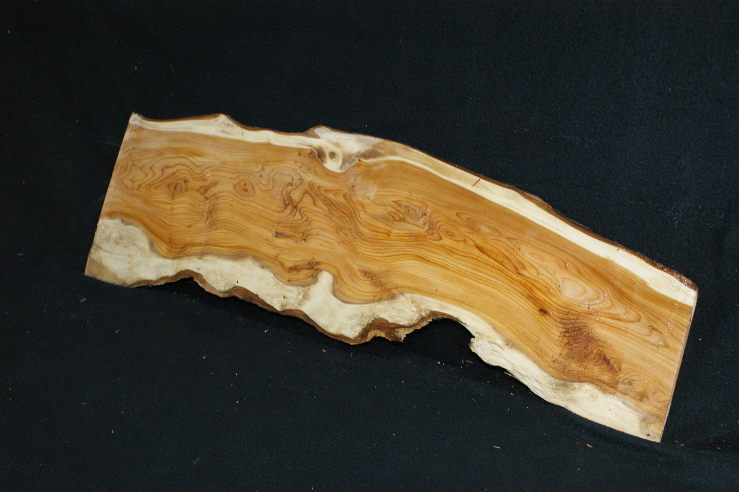 English Yew Shelf. (607)