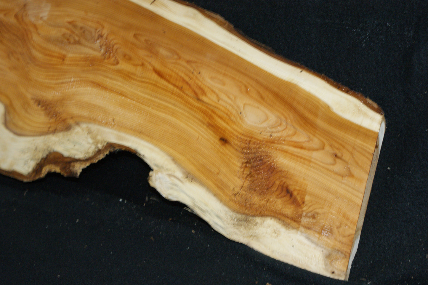 English Yew Shelf. (607)