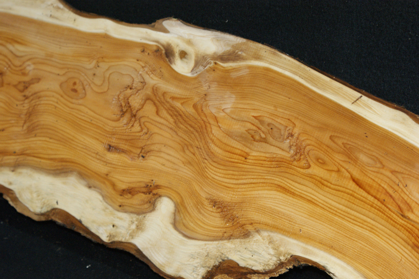 English Yew Shelf. (607)