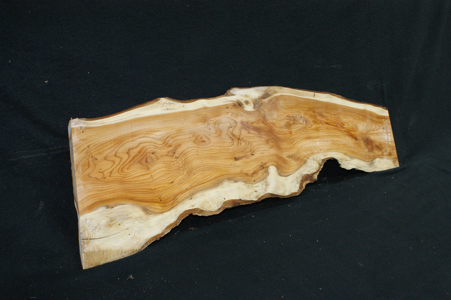 English Yew Shelf. (607)