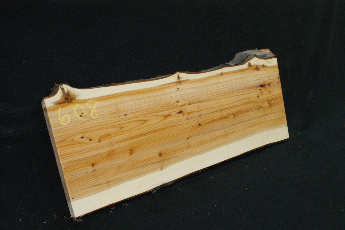 English Yew Shelf. (608)