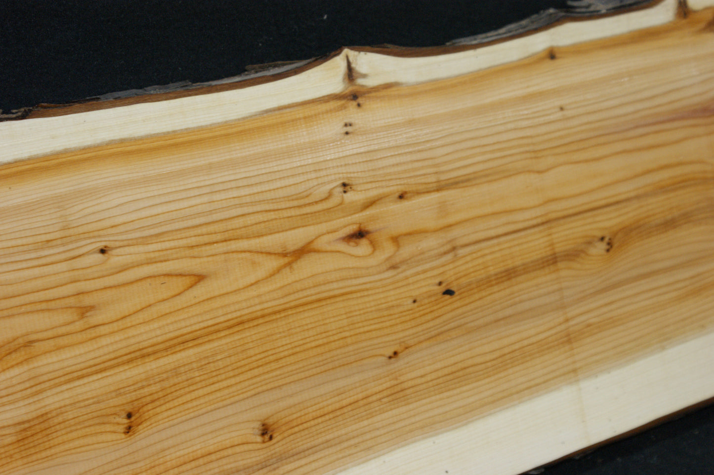 English Yew Shelf. (608)