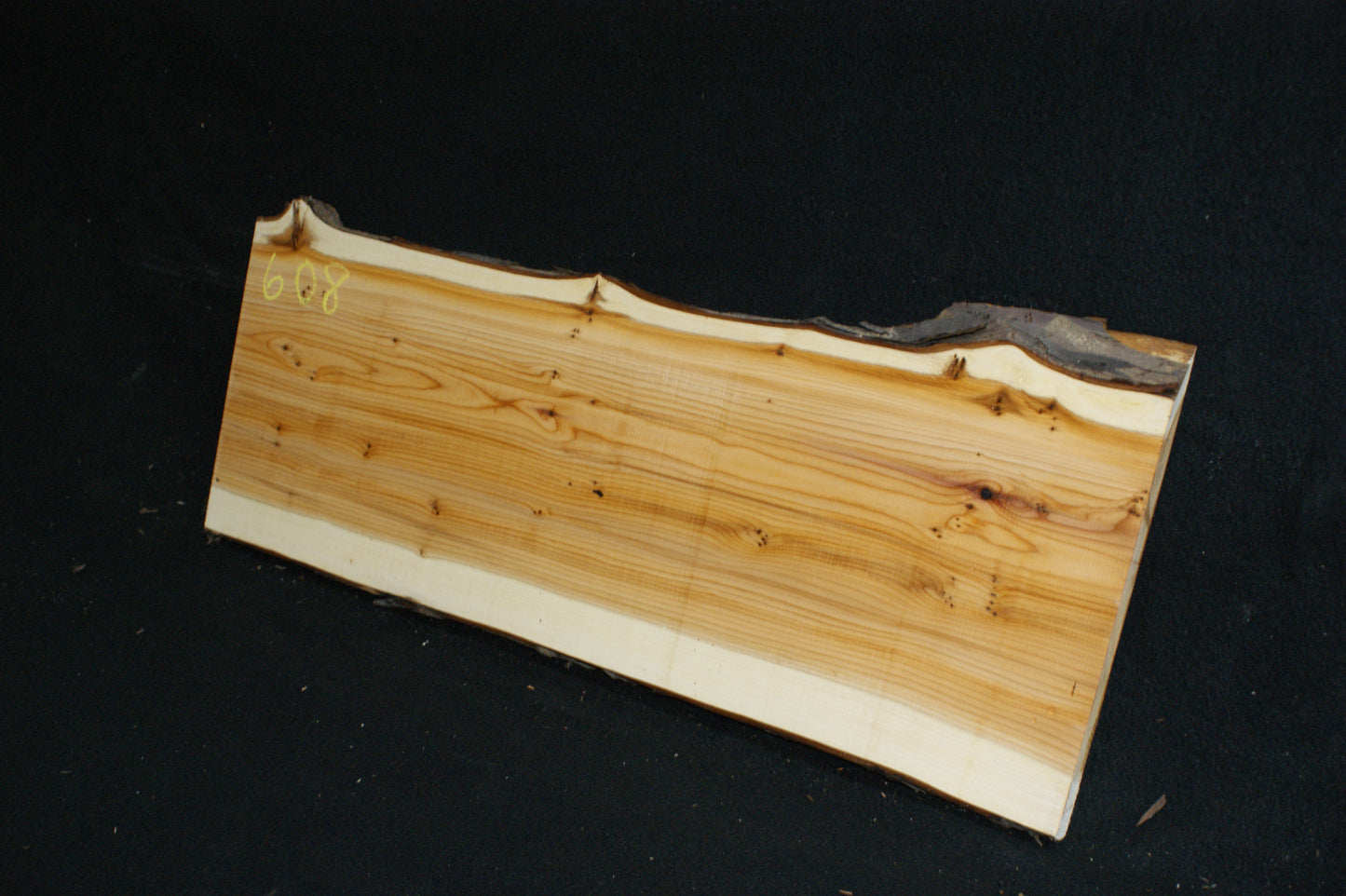 English Yew Shelf. (608)