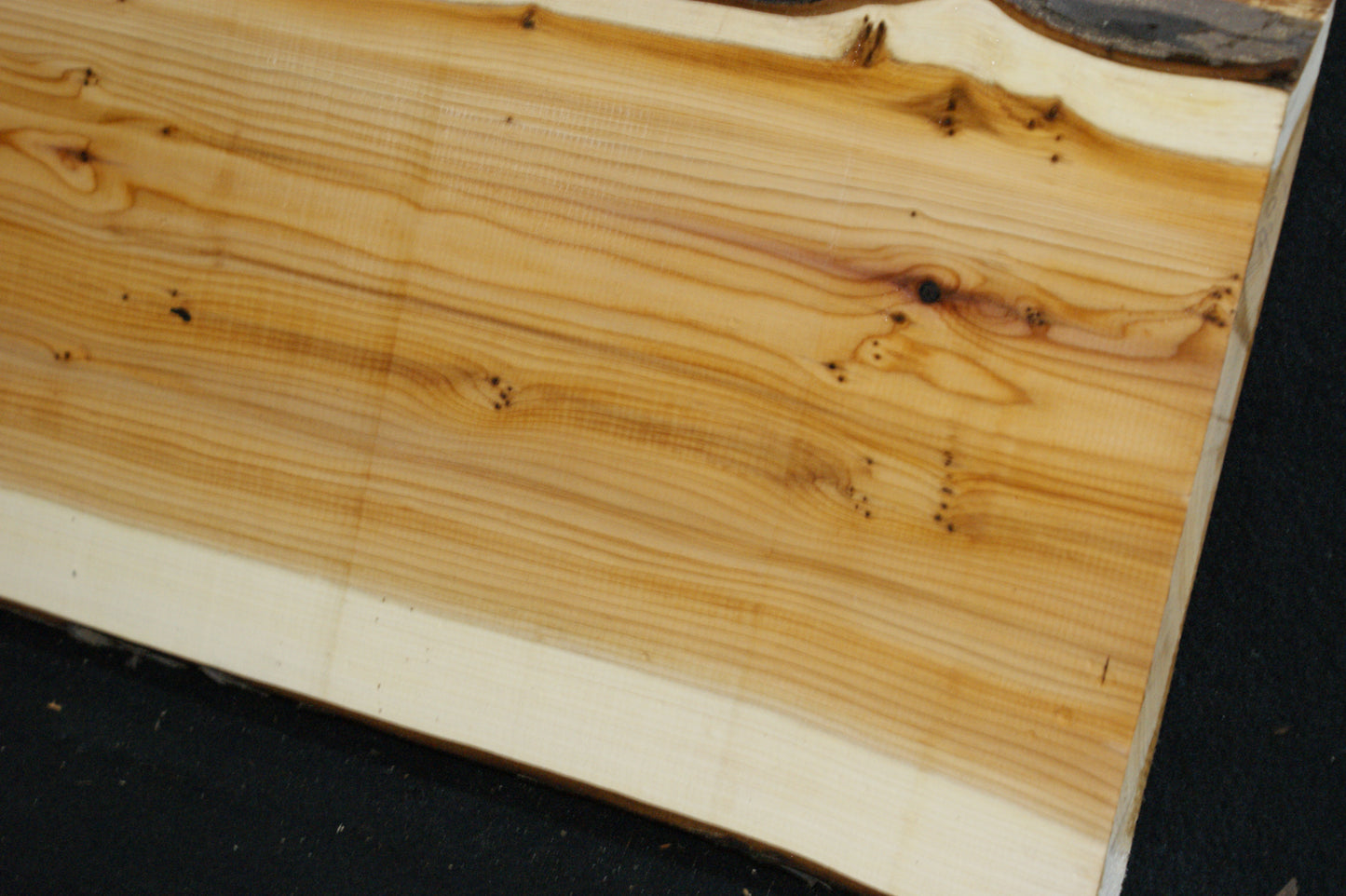 English Yew Shelf. (608)