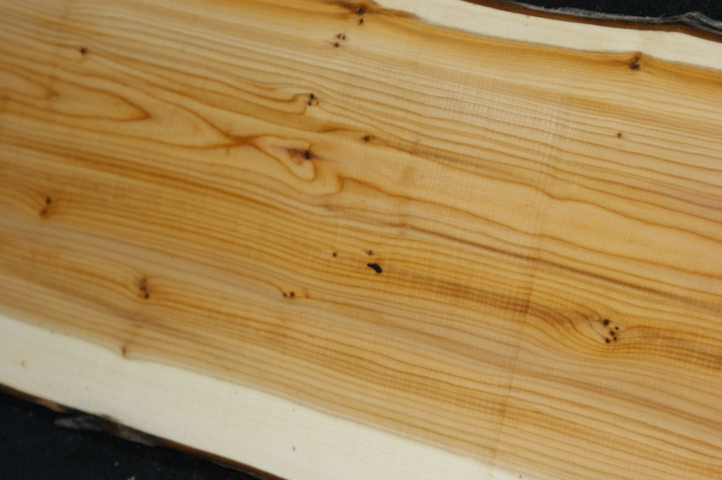 English Yew Shelf. (608)
