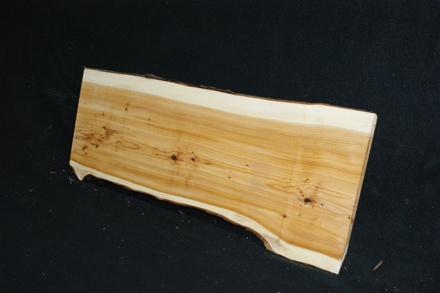 English Yew Shelf. (608)