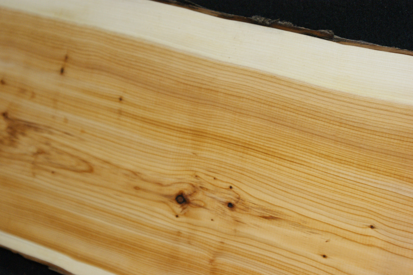 English Yew Shelf. (608)