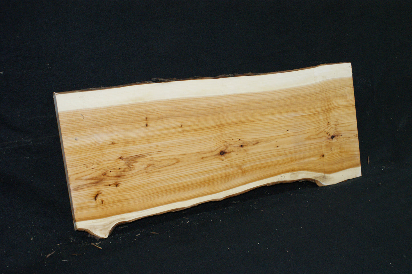 English Yew Shelf. (608)