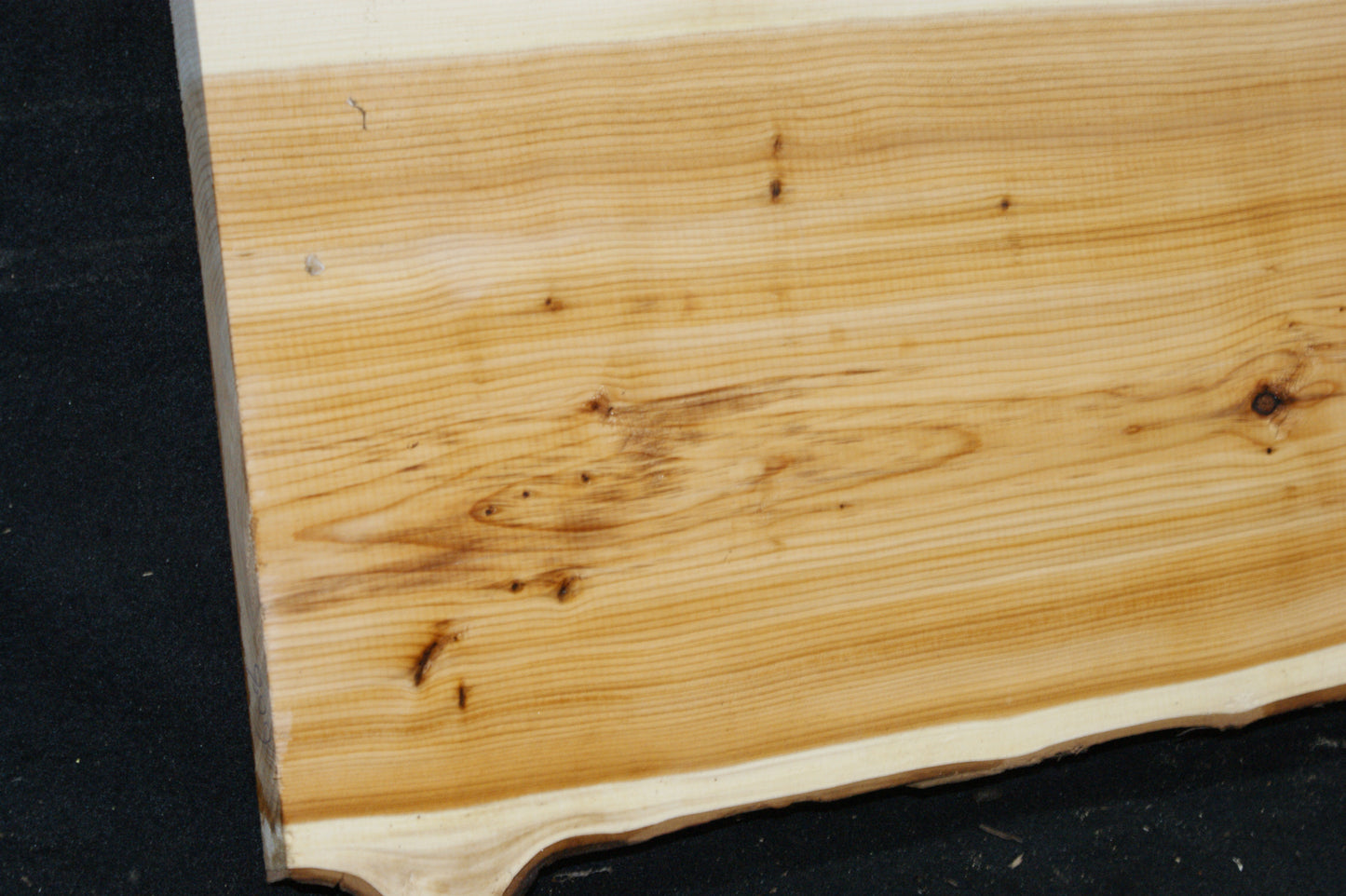 English Yew Shelf. (608)