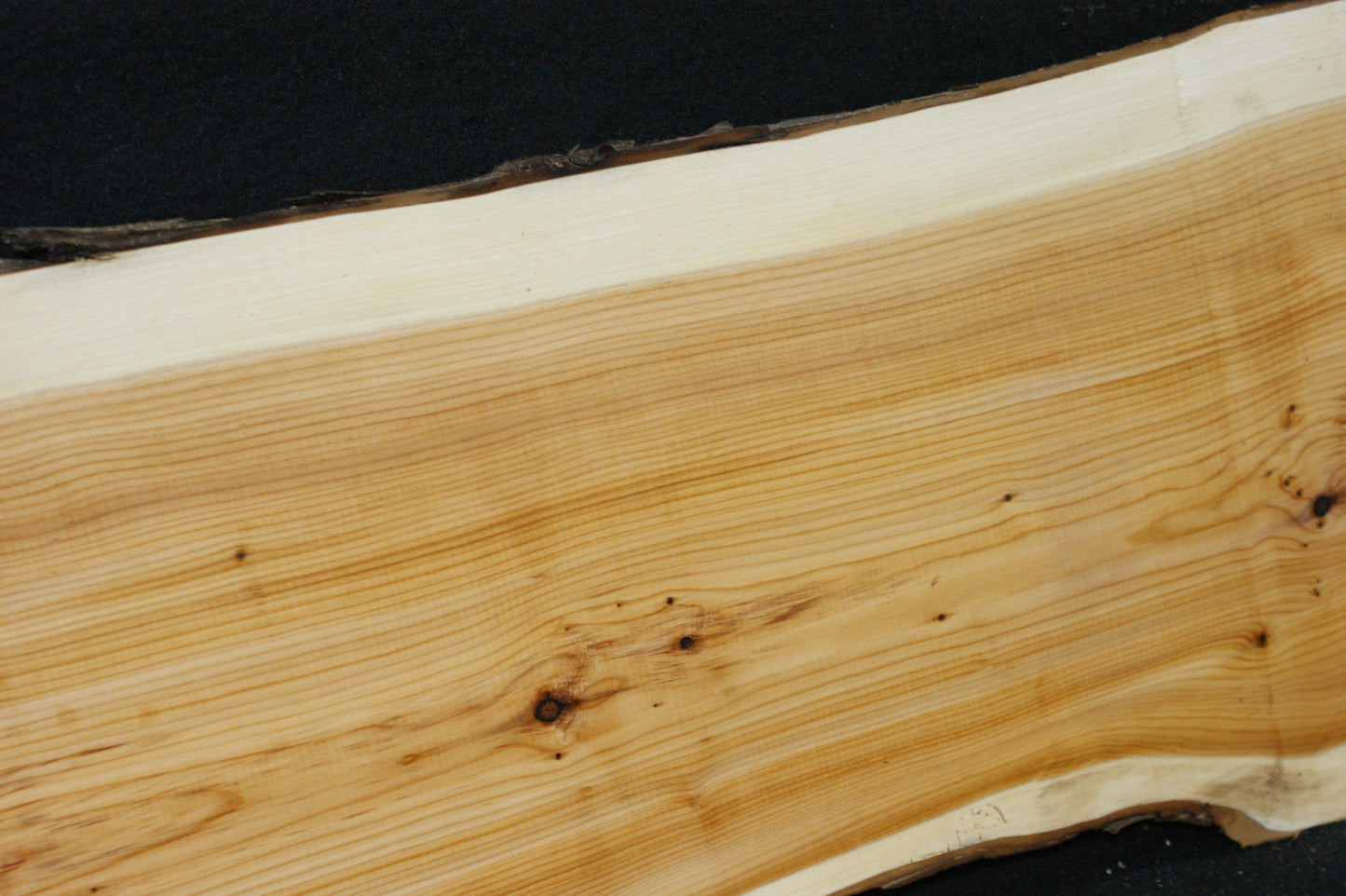 English Yew Shelf. (608)