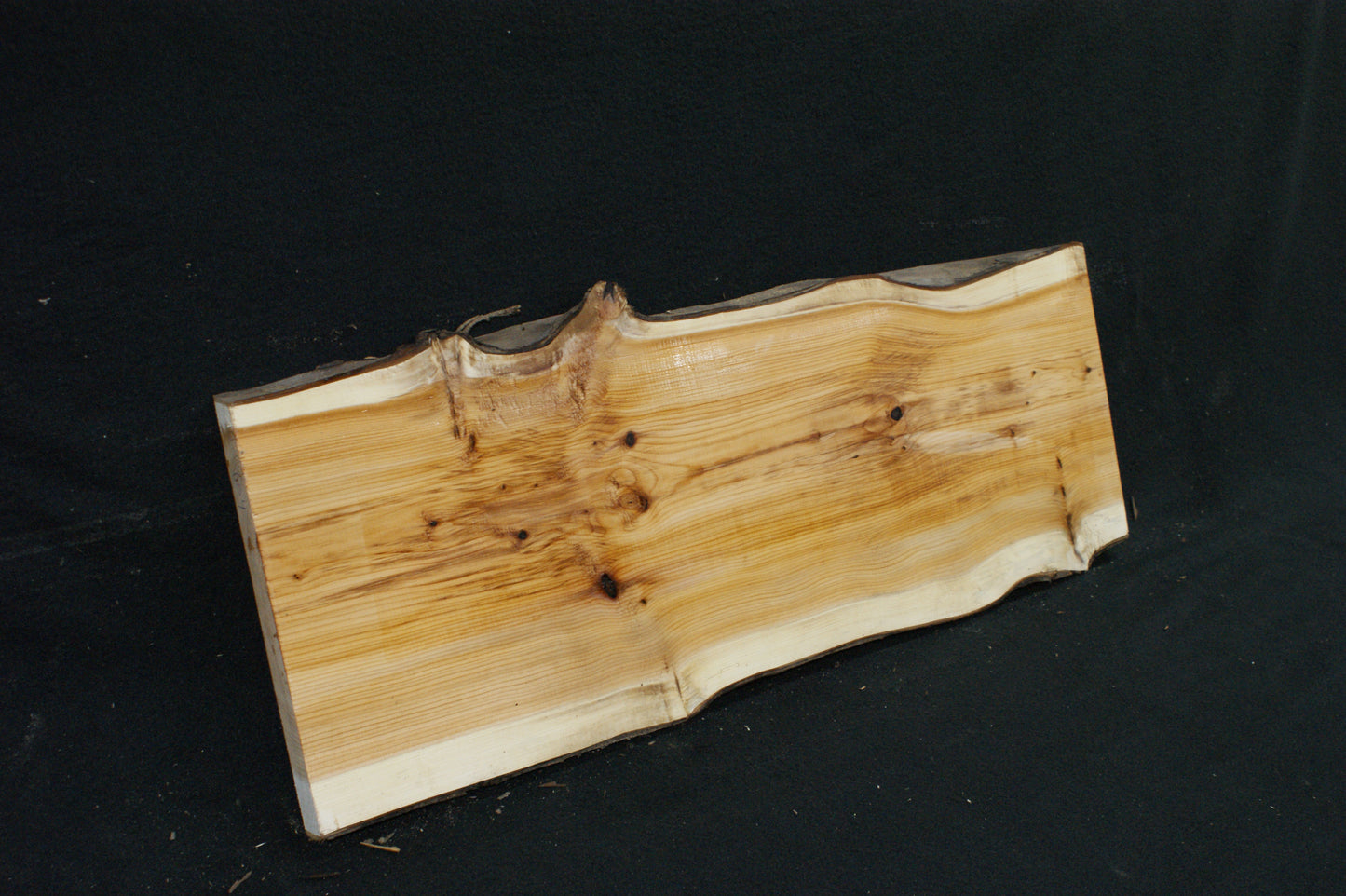 English Yew Shelf. (609)