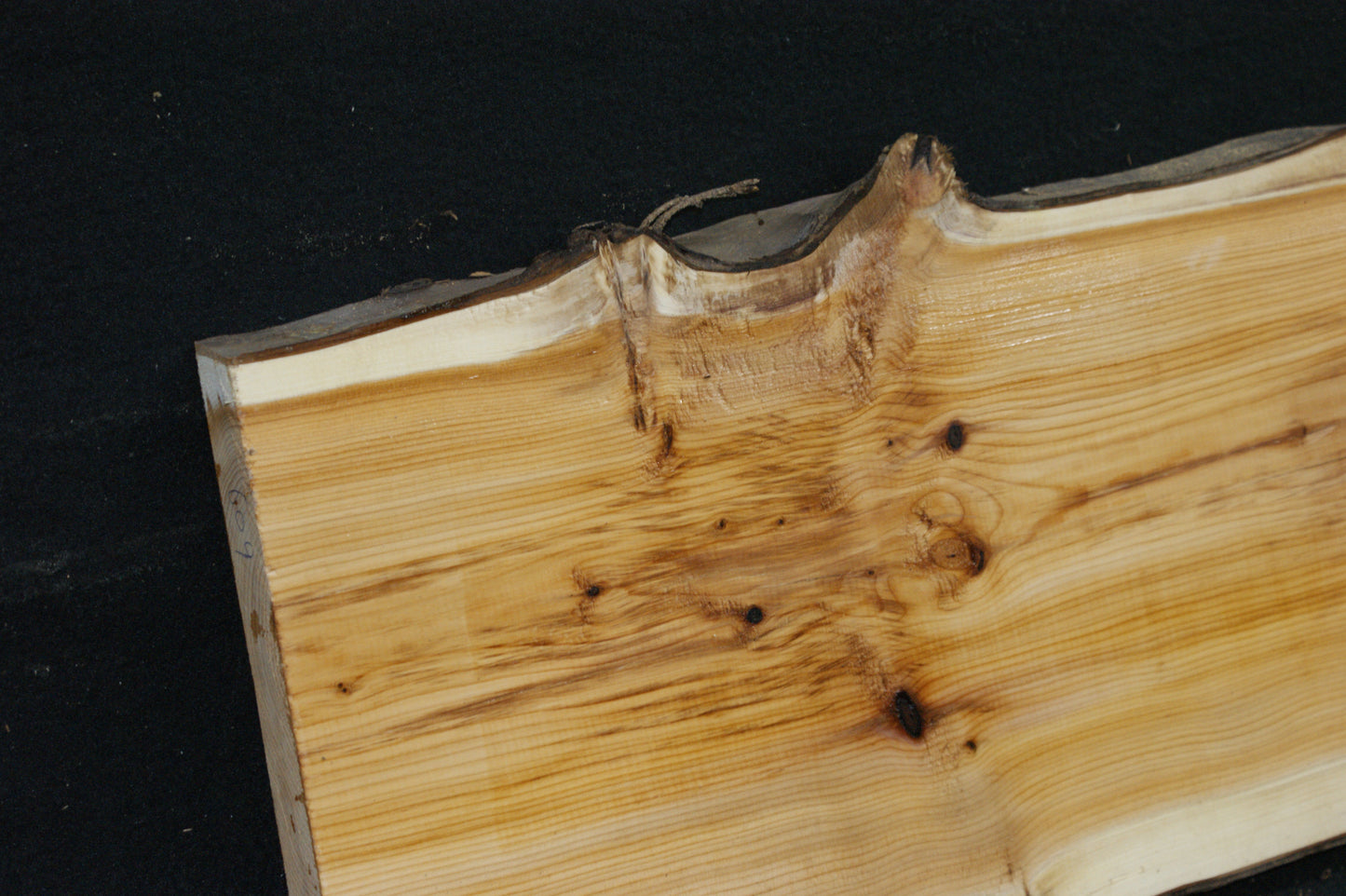 English Yew Shelf. (609)