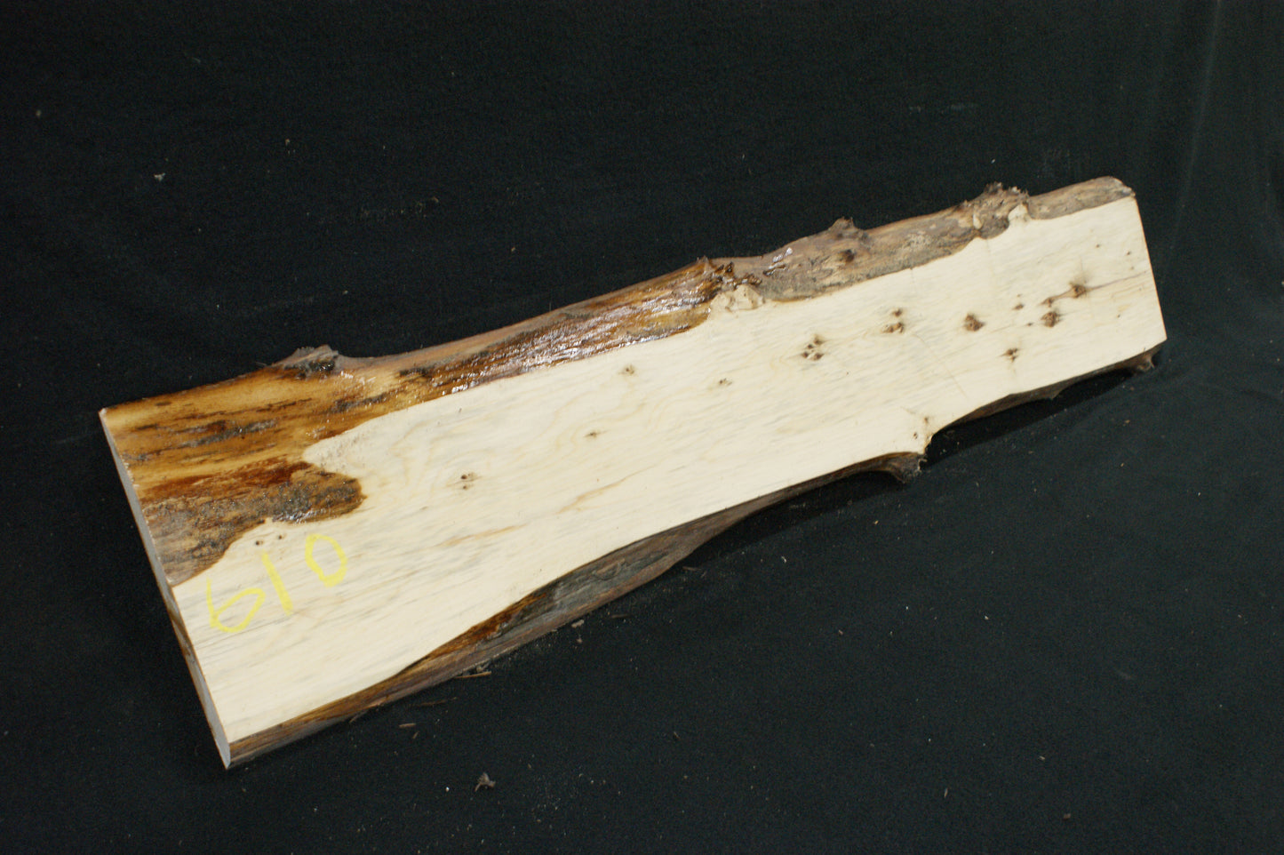 English Yew Shelf. (610)