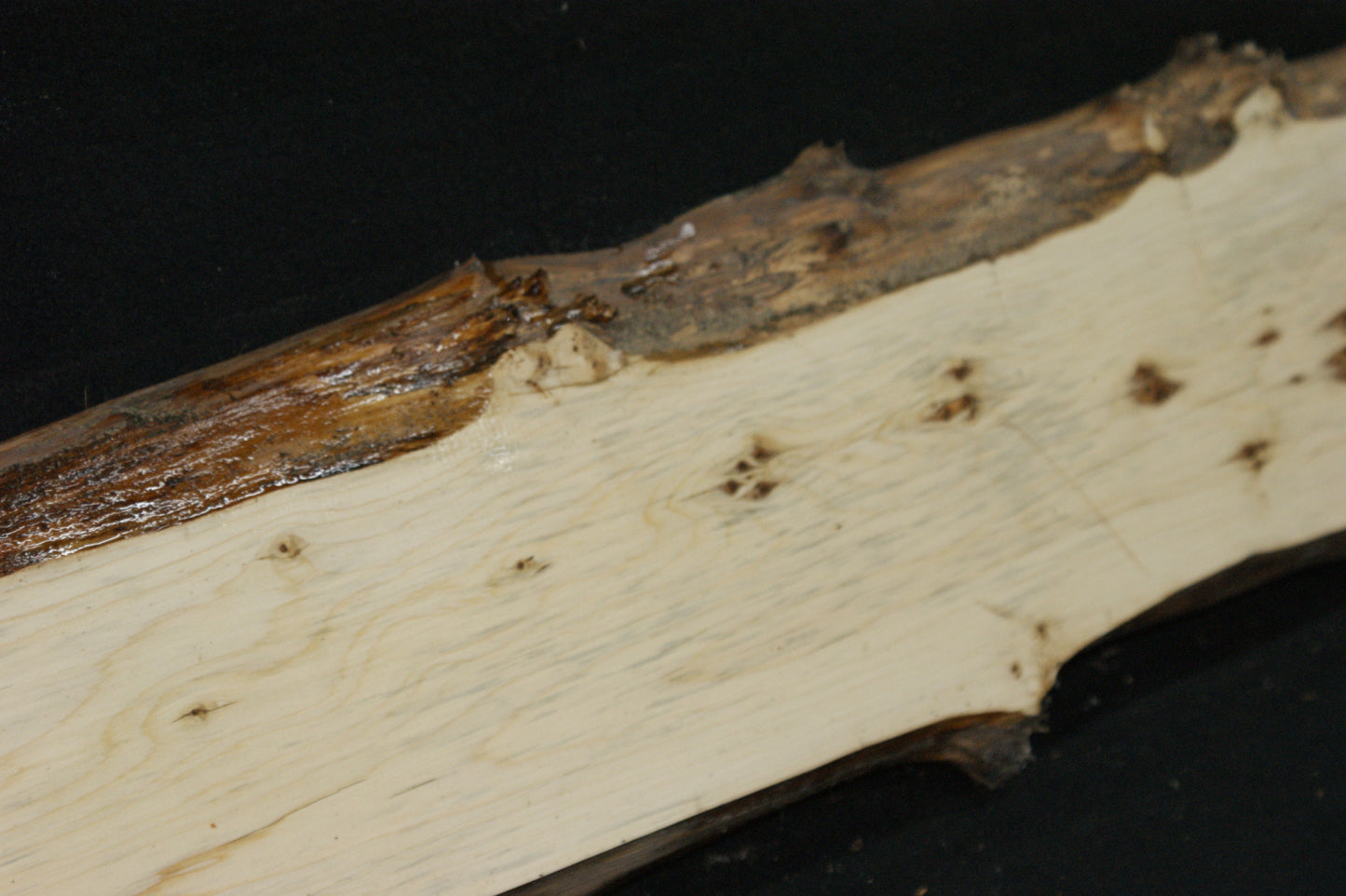 English Yew Shelf. (610)