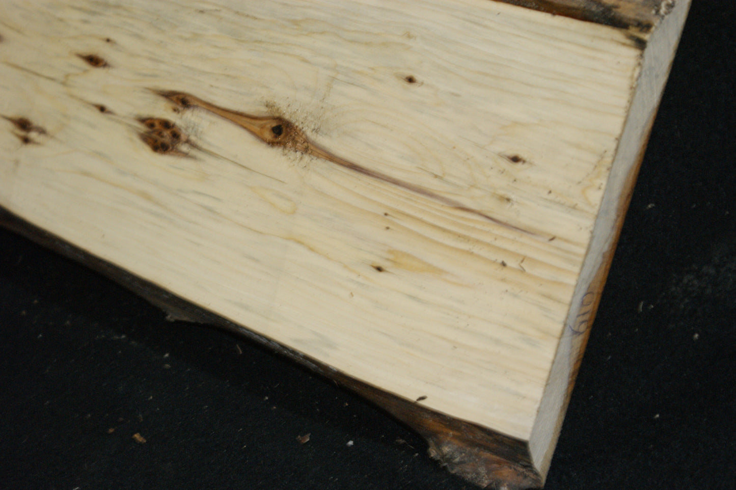 English Yew Shelf. (610)