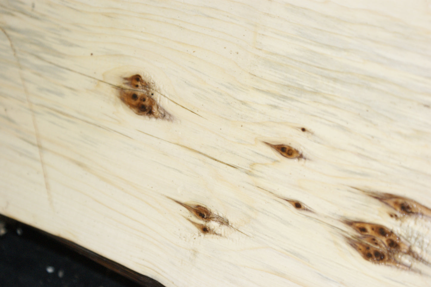 English Yew Shelf. (610)