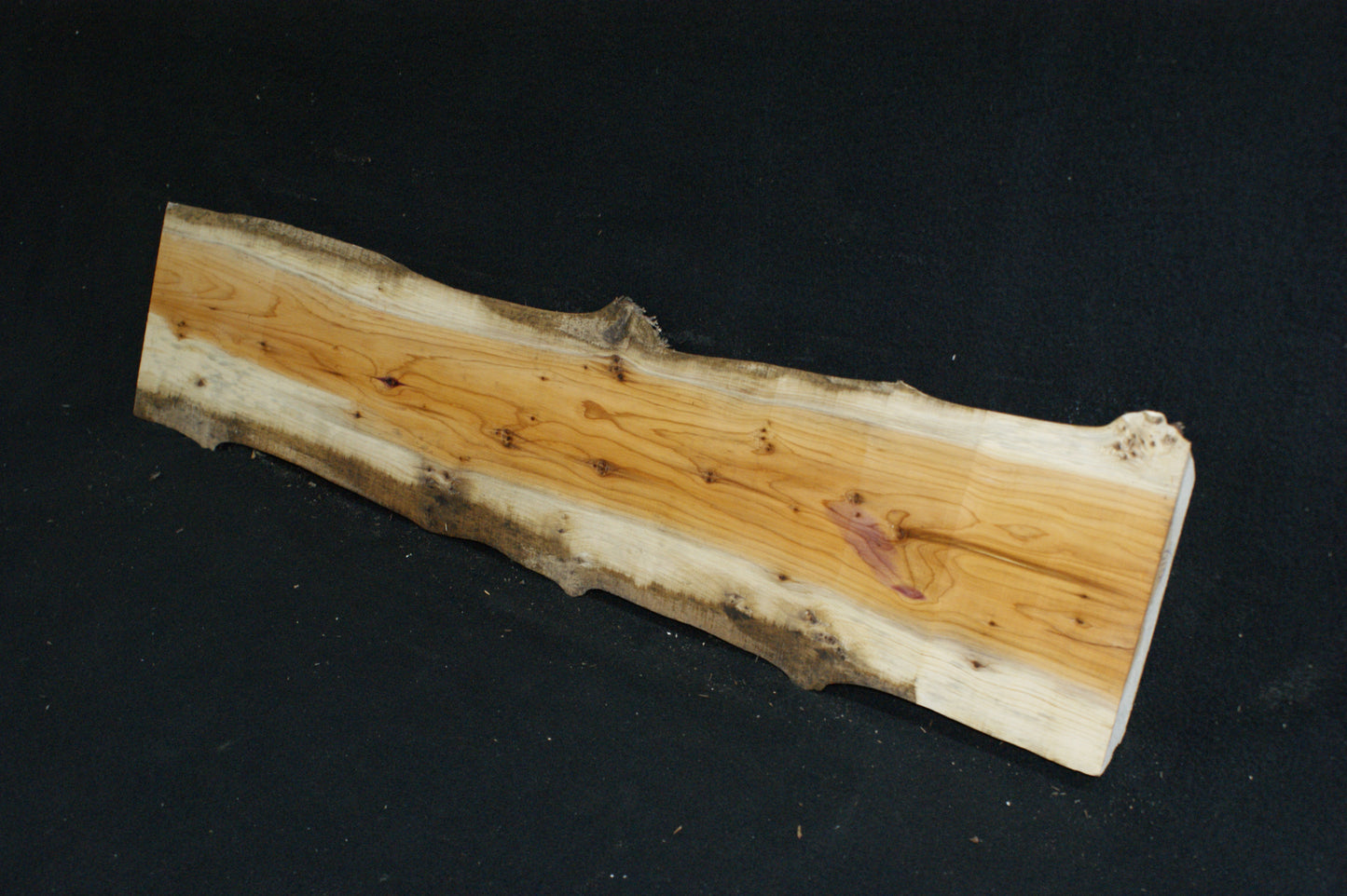 English Yew Shelf. (610)