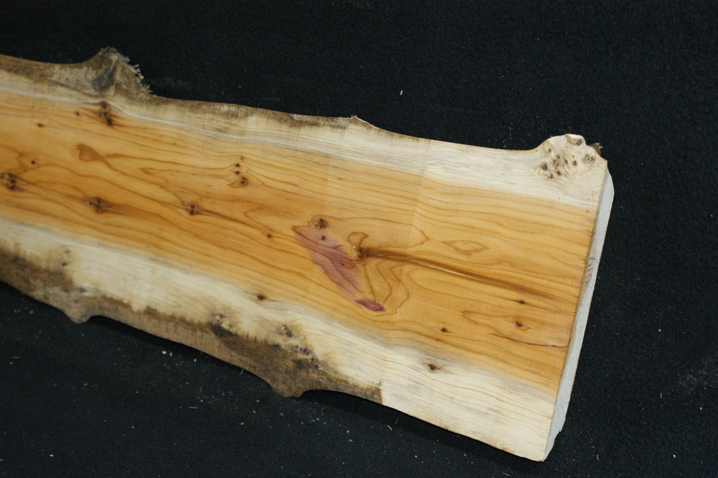 English Yew Shelf. (610)